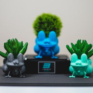 Froakie Planter Pots - custom color options and sizes