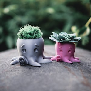 Octopus Planter | Cute Home Office Decor | *Free Saucer | 3 sizes and many color options - 3D Printed