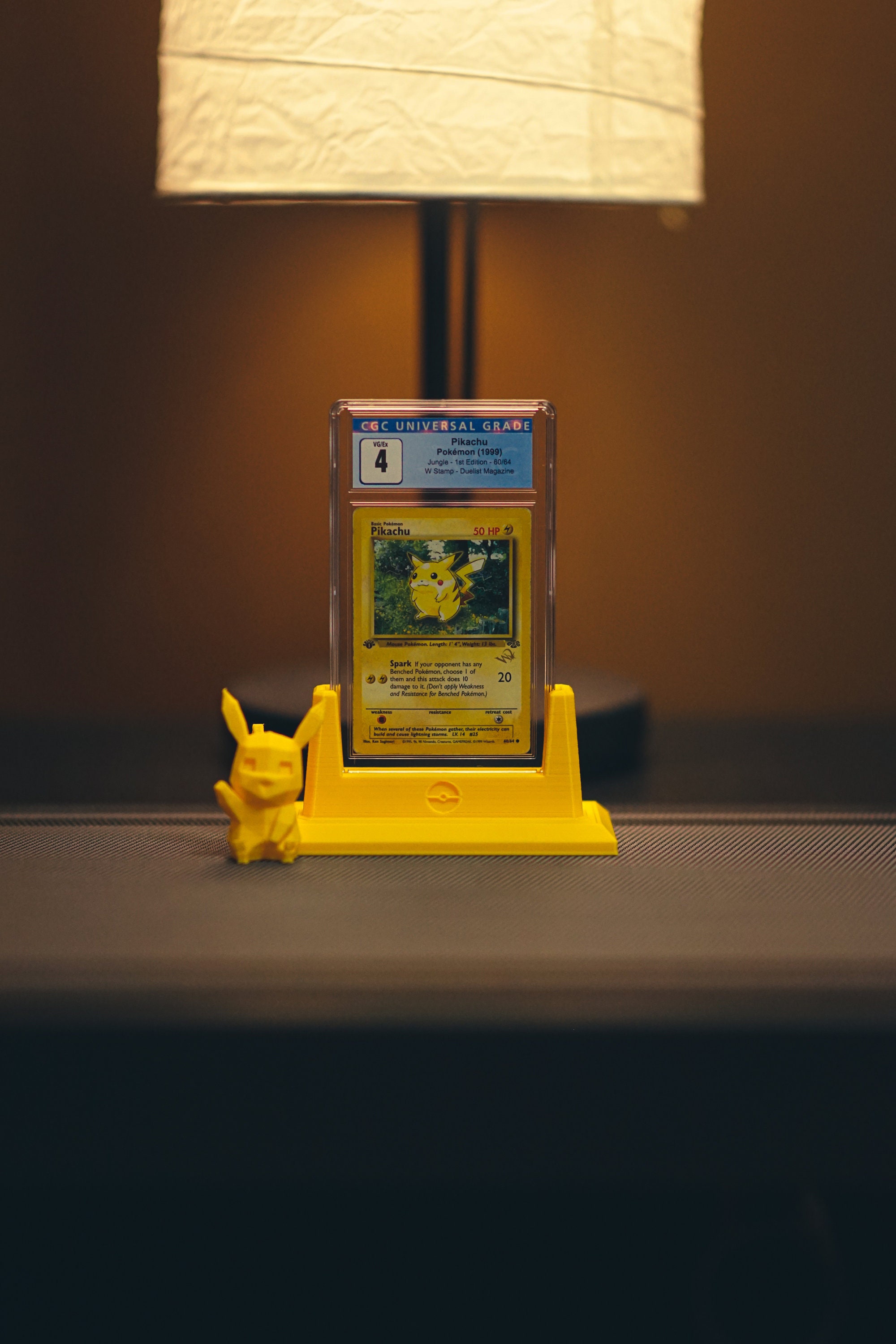 Pokemon Collectable Card Slab Holder - Custom Characters! - PSA, CGC, BGS &  Many More. Lots of Options / Colors - Etsy
