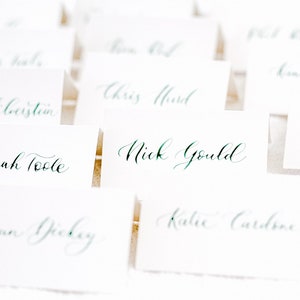 Calligraphy Place Cards, Escort Cards, Modern Calligraphy, Handwritten Name Cards