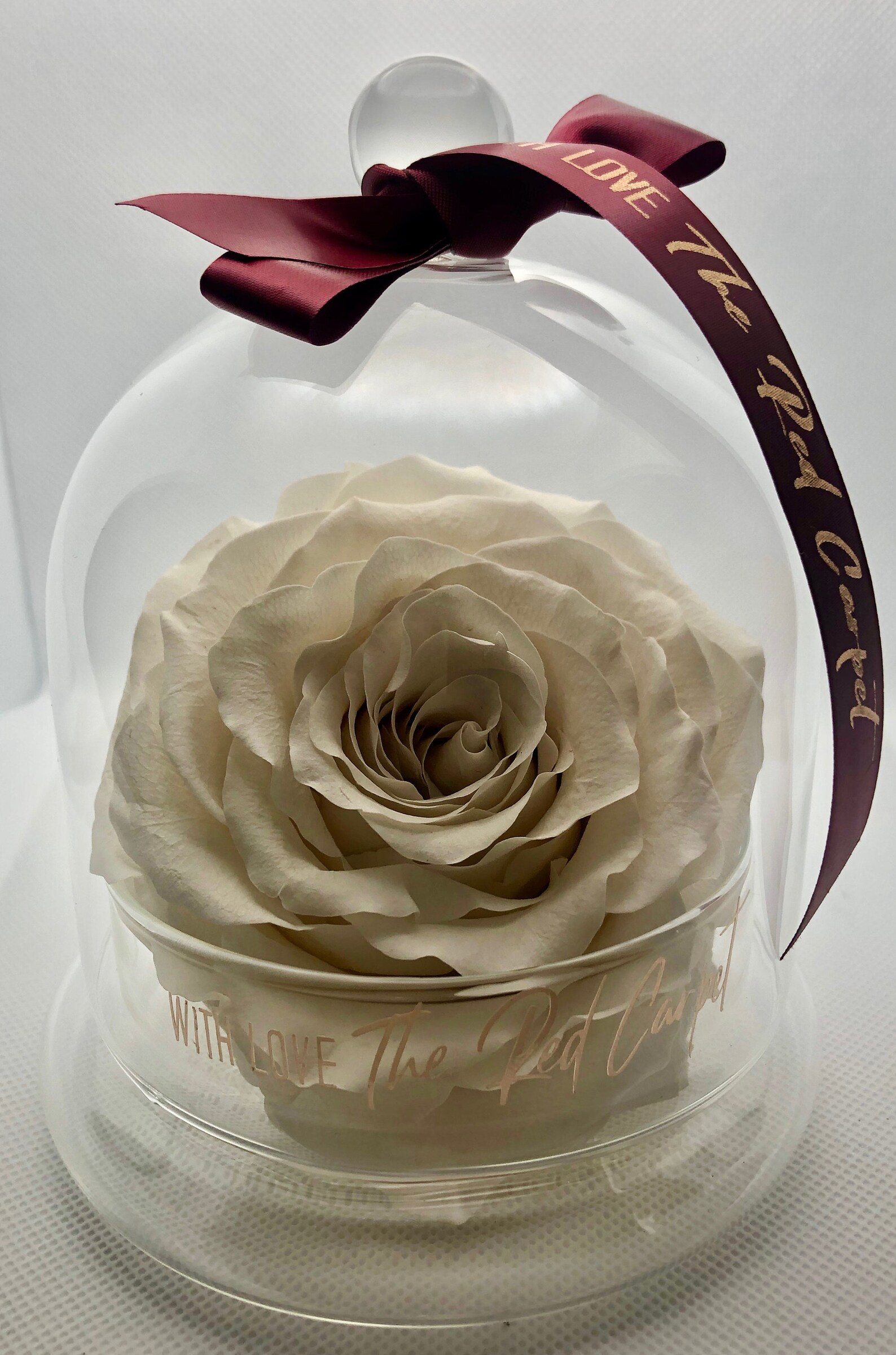 Infinity Rose Just Because Collection Etsy