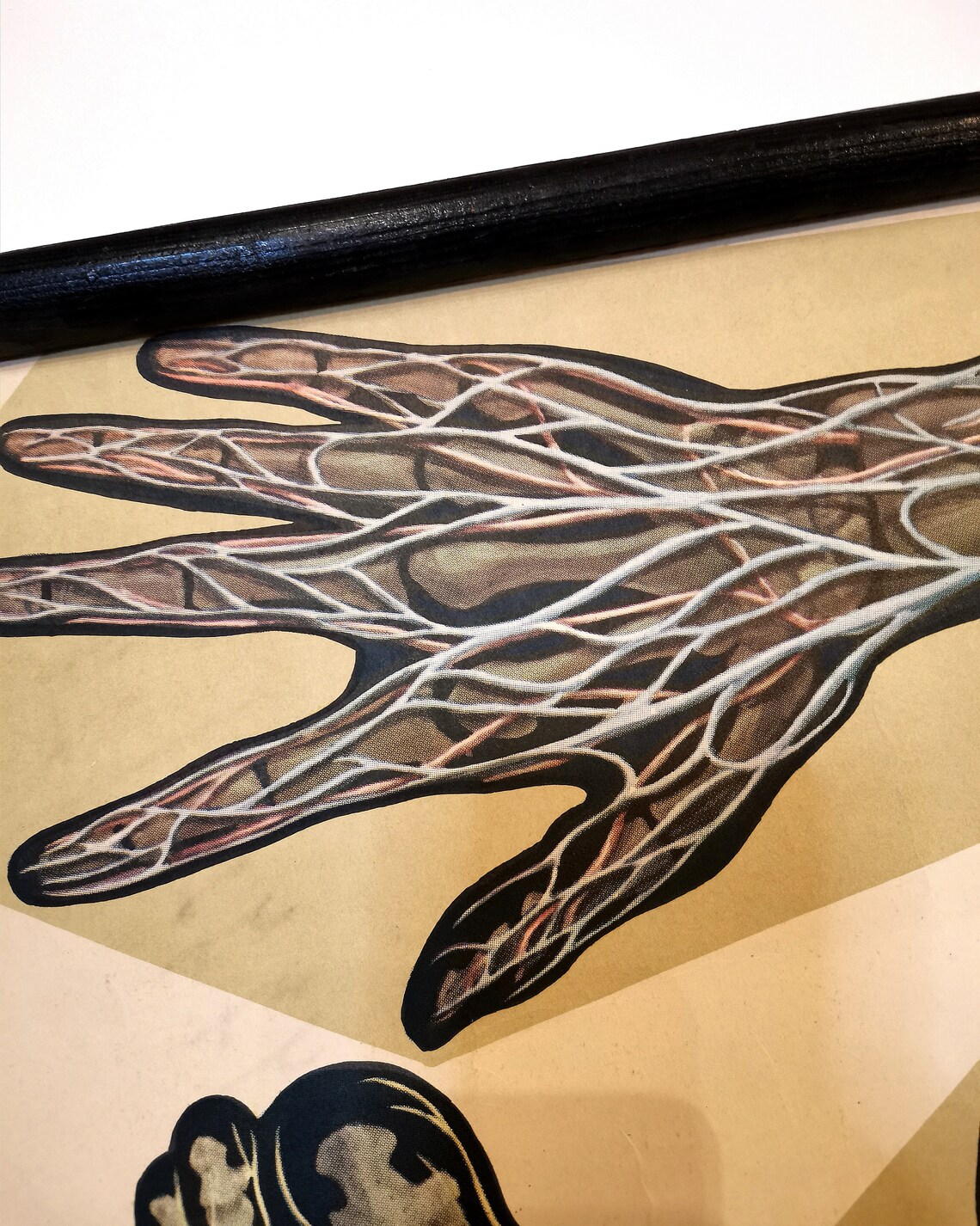 Authentic Vintage Anatomy Human Body School Educational Poster - Etsy