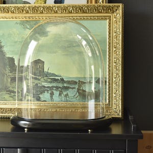 Dôme Antique en Verre du 19ème Siècle avec Base en Bois Noir | Vitrine de collection | Présentoir décoratif pour cloches