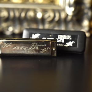 Pode incluir: Uma gaita Aria Folk Blues prateada com detalhes dourados e o texto "ARIA" gravado na frente. Atrás da gaita, uma caixa preta com texto e gráficos brancos. A gaita está sobre uma superfície escura.