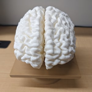 Pode incluir: Um modelo anatômico de cérebro impresso em 3D na cor branca, apresentando dois hemisférios distintos com giros e sulcos texturizados detalhados. O modelo cerebral está montado sobre uma base quadrada de cor bege.