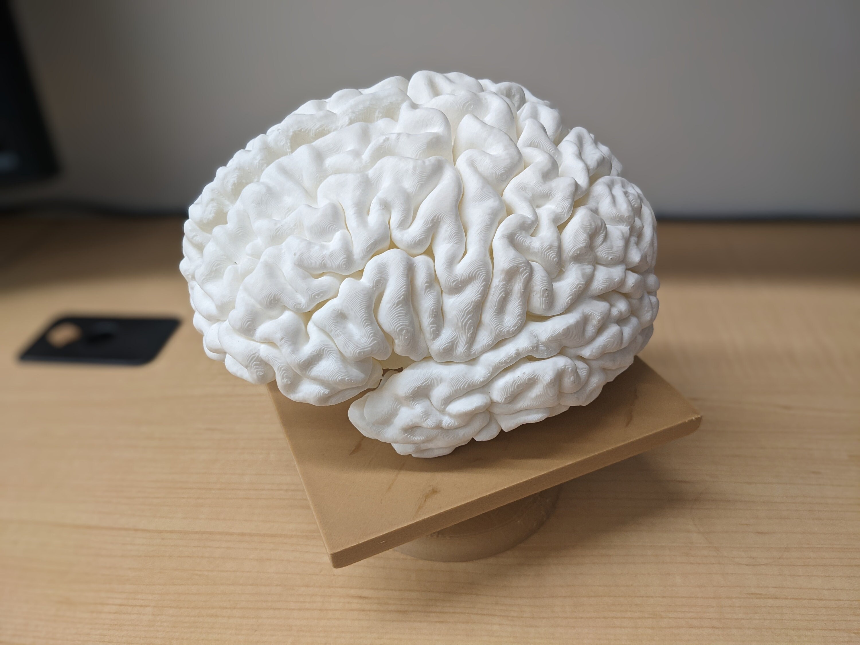 Personalized 3D Printed Brain: Unveil Your Mind's Marvels - Etsy