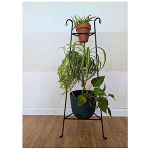 Op de afbeelding: Een zwarte metalen plantenstandaard met drie niveaus, met drie potplanten. De bovenste laag heeft een kleine terracotta pot met een vetplant. De middelste laag heeft een grotere groene plant met lange, dunne bladeren. De onderste laag heeft een zwarte pot met een groene plant met hartvormige bladeren.