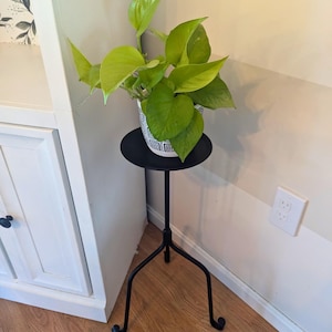 Puede incluir: Un pequeño soporte de metal negro para plantas con una parte superior redonda que sostiene una planta en maceta. La planta tiene hojas de color verde brillante y está en una maceta blanca con un diseño geométrico negro. El soporte tiene tres patas curvas.