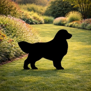May include: A black silhouette of a dog, likely a Golden Retriever, stands on a grassy lawn. The dog's form is detailed, with a fluffy tail and a gentle curve to its back. The background features a well-maintained garden with lush greenery.