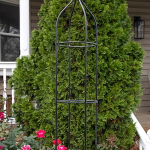 May include: A black metal garden trellis with a pointed top and multiple rings. The trellis is in front of a green evergreen bush.