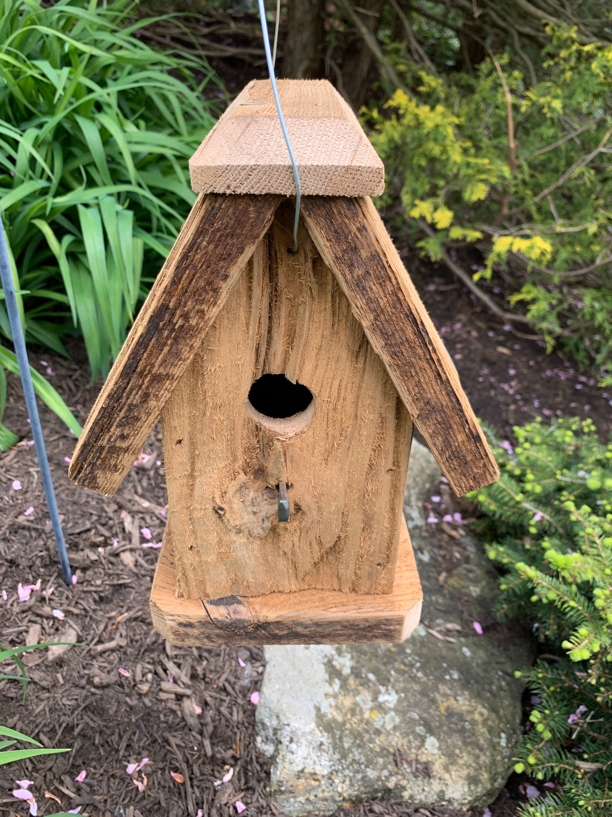 Zaunkönig-Vogelhaus Mit Blauem Dach – Aus Massivholz, Wetterfest, Mit Edelstahlhaken & Raubtierschutz