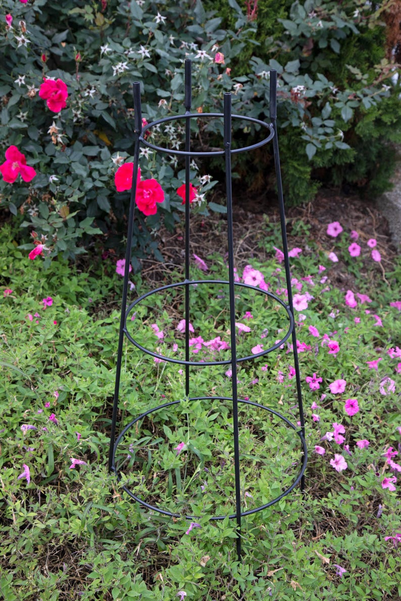 Round Obelisk Garden Trellis - Black Wrought Iron - Small & large - Amish made image 17