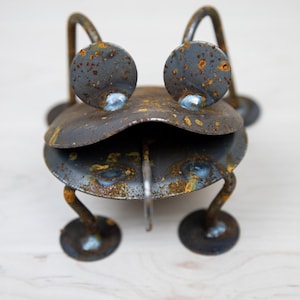 Può includere: Una scultura di rana in metallo arrugginito con una lunga lingua. La rana ha grandi occhi rotondi e sta in piedi su quattro zampe.