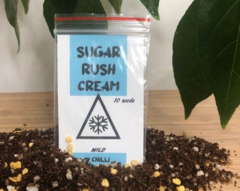 Sugar Rush Cream Chilli Seeds