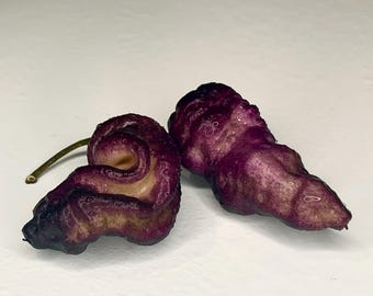 Thor’s Thunderbolt Chilli Seeds