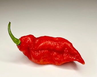 Red Ghost Chilli Seeds