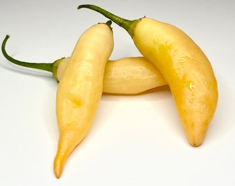 Sugar Rush Peach Chilli Seeds