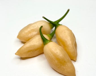 Klavo Peach Chilli Seeds