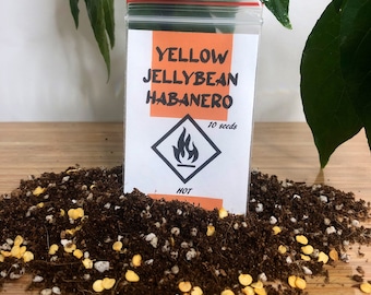 Yellow Jelly Bean Habanero Chilli Seeds