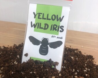 Yellow Wild Iris Seeds