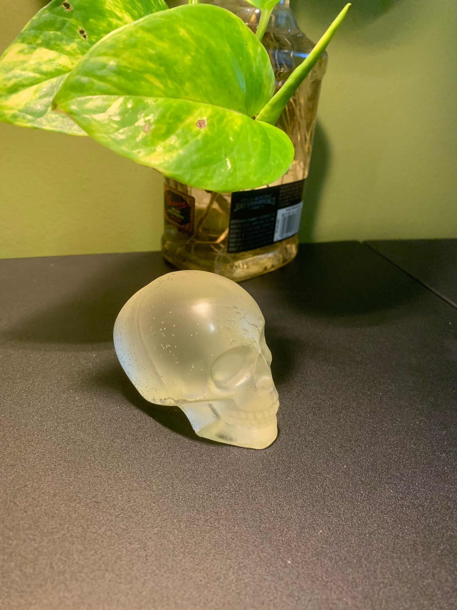 Resin Skull Paperweight Clear Etsy