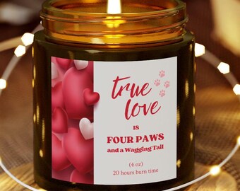 Scented Candles, Valentine's Day Candle with Funny Quote, Coconut Apricot Wax, Small Business Gift, Home Decor, Gift for Pet Lovers,