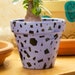 see more listings in the Plant Pots section