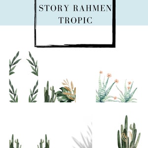 Puede incluir: Un conjunto de 12 ilustraciones de acuarela que representan diversas plantas tropicales, incluyendo cactus, suculentas y hojas de palmera. Las ilustraciones son perfectas para añadir un toque de naturaleza a tus diseños.