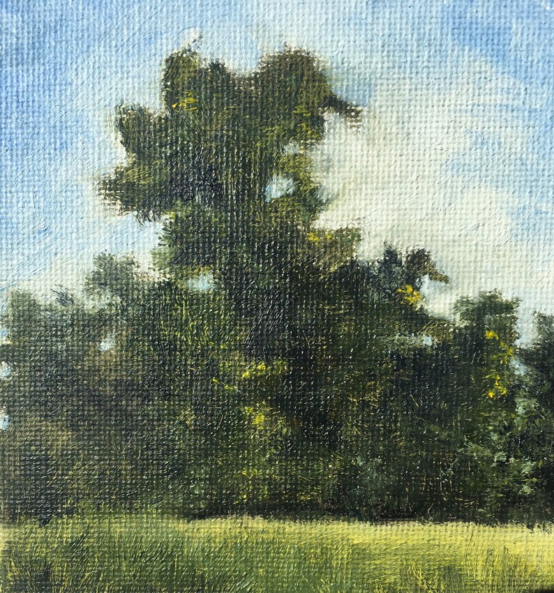 the edges and the blue sky on 5x7 canvas board Original Oil Painting feature trees A hiking memory on Shenandoah National Park
