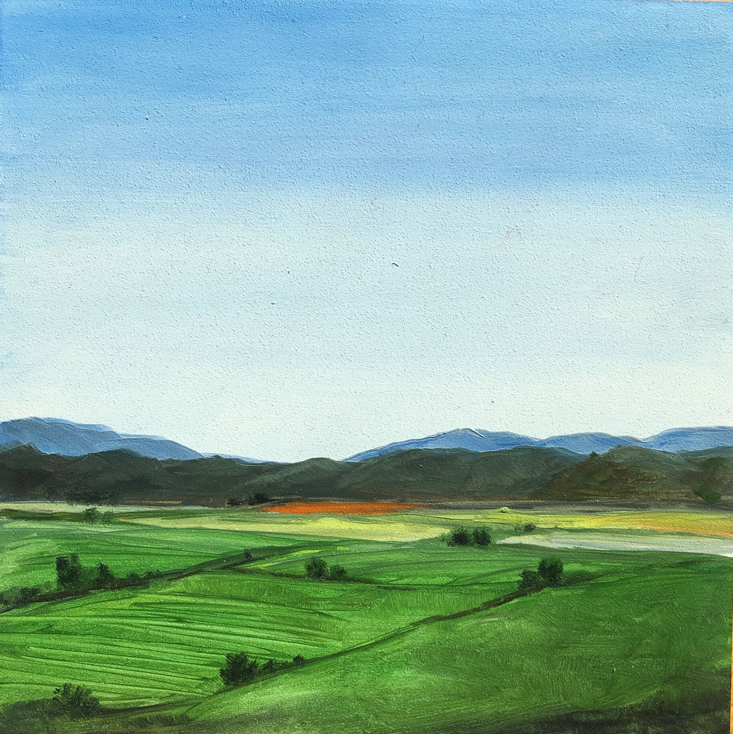 Original Oil Painting Feature Shenandoah Valley With Green Etsy Canada