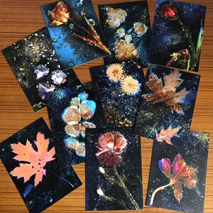 Cartes postales de la série 'Magical World'
