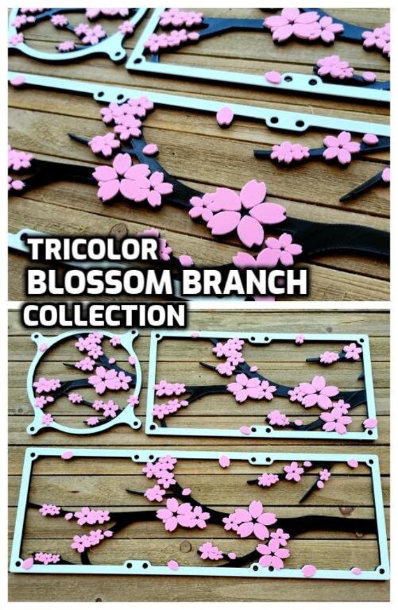 Sakura Cherry Blossom Flower Snack Box Organizer – The Kawaii Shoppu