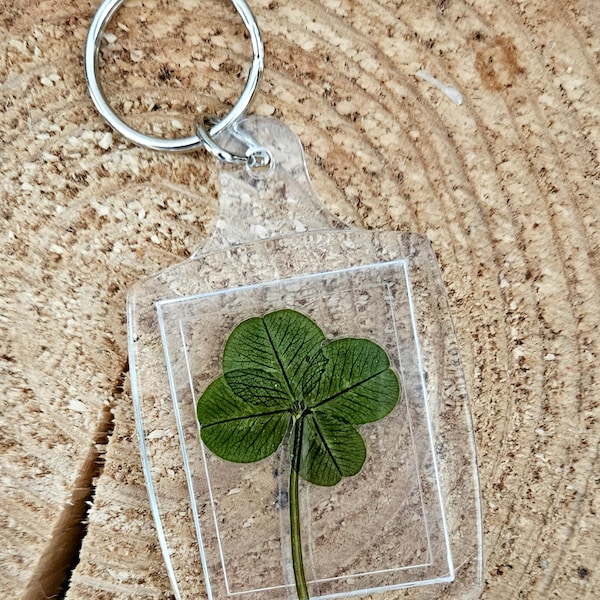 Real 4-leaf clover key ring // Lucky key ring // Lucky gift