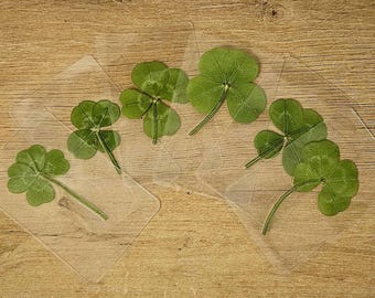 現在、この商品の在庫はありません - Etsy