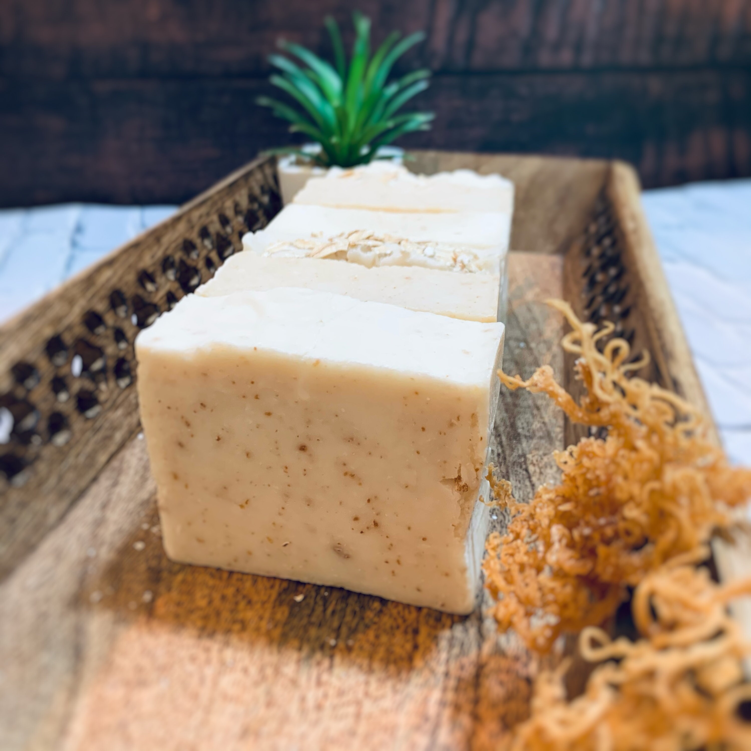 Sea Moss All Natural Bar Soaps Multipack Oatmeal Turmeric Etsy UK