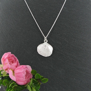 Op de afbeelding: Een zilveren ketting met een gedetailleerde schelp hanger. De hanger is een realistische weergave van een schelp met een getextureerd oppervlak.