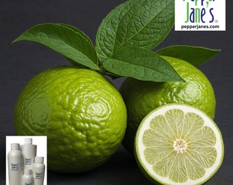 Bergamot Scent Fragrance Oil, Citrus Aroma for Bath & Body, Candle Making