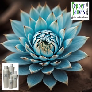 May include: Four bottles of blue essential oil with the label "Pepper Jane's Colors & Scents" and the website address "pjcolorsandscents.com". The bottles are in front of a blue succulent.