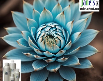 Blue Agave Fragrance Oil for Candles, Soap, Incense, Lotion, Diffusers, Slime, Scrubs, Perfumes, Body Butters, and more