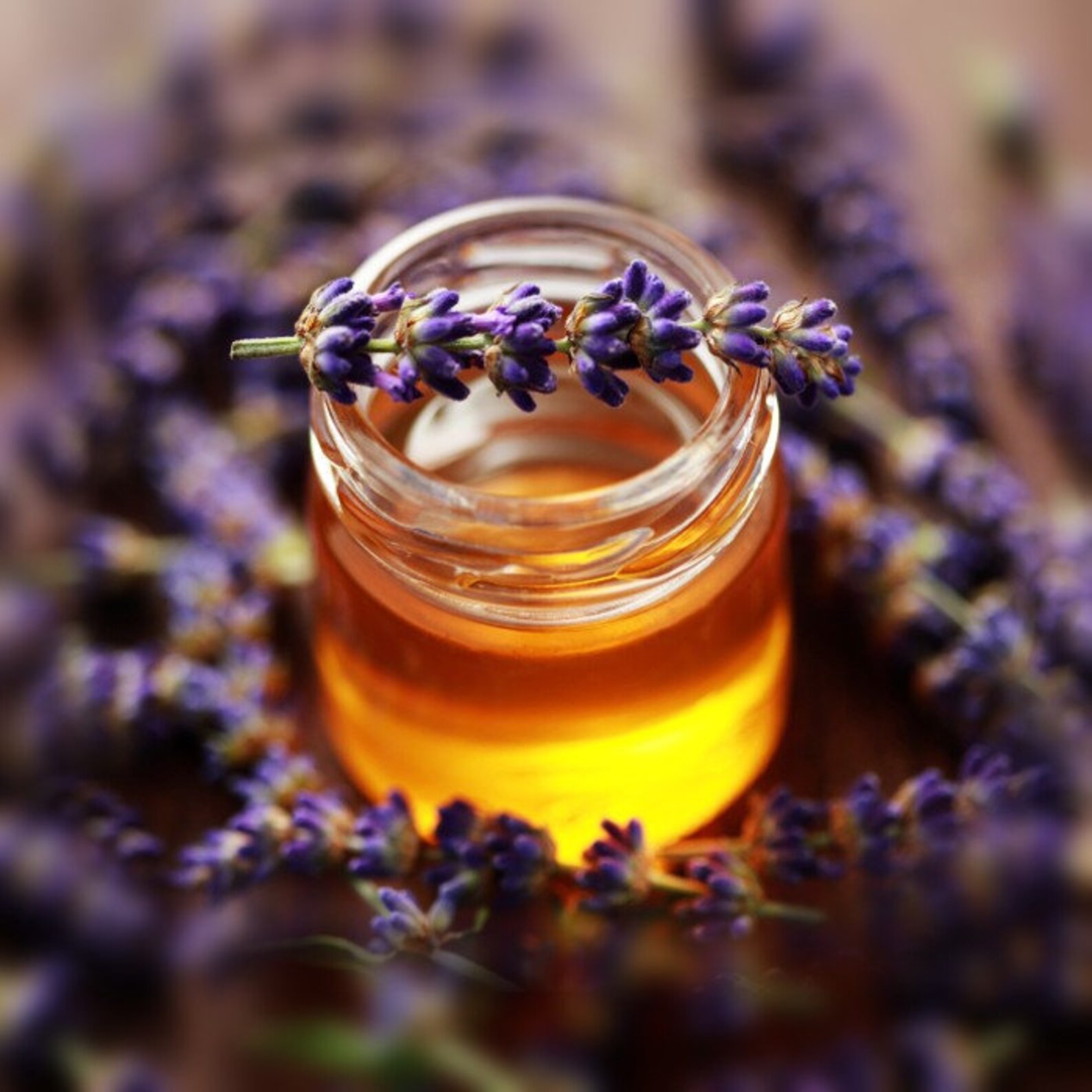 French Lavender & Honey Type Fragrance Oil for Candles Soap Etsy