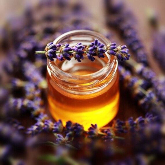 French Lavender & Honey Fragrance Oil for Candles Soap Etsy
