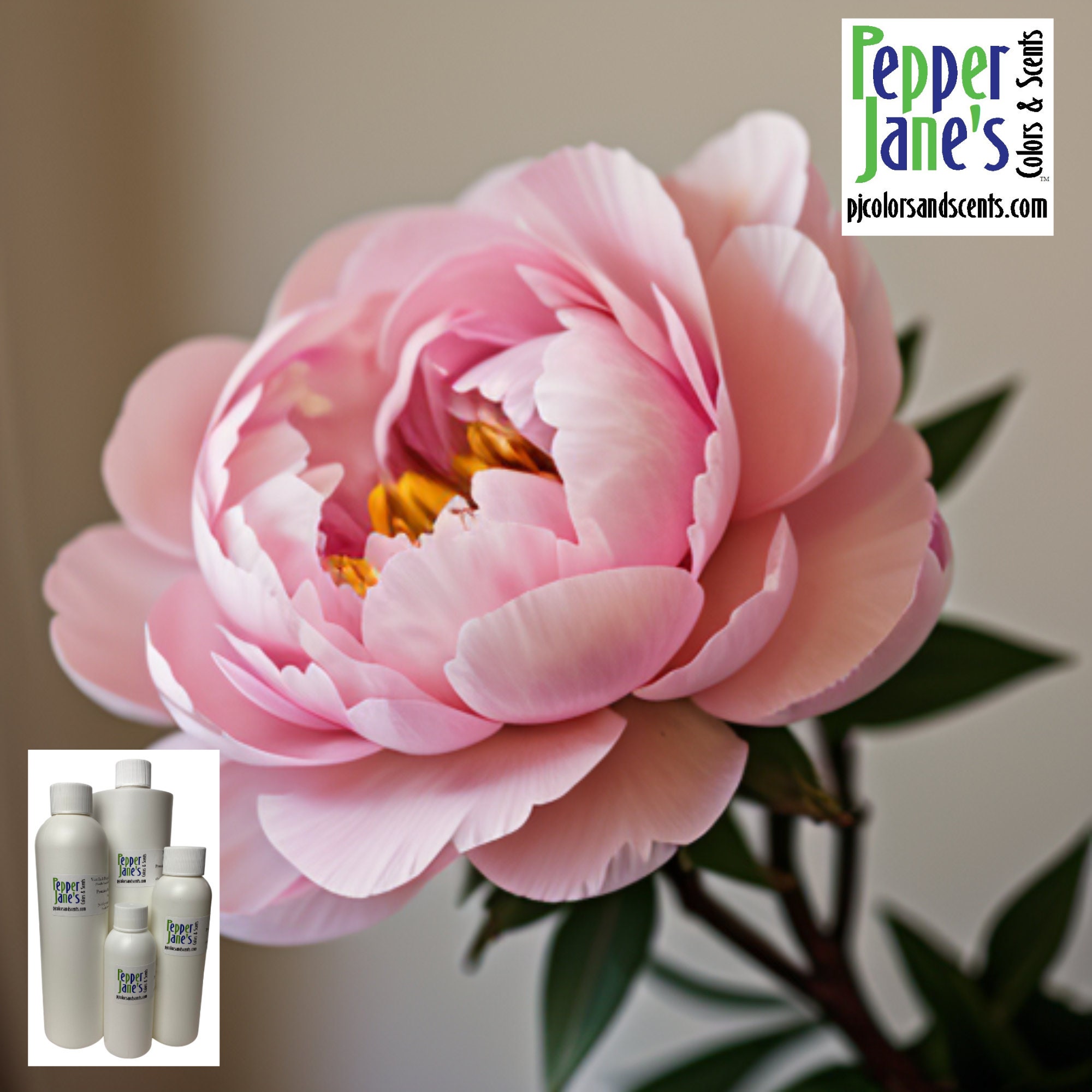 Pink flower salt peony essential oil for spa and aromatherapy Stock Photo  by ©duskbabe 83698292