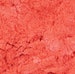 Cocktail Time Coral Mica - Coral Red Powder Color - For Cosmetics & Soap Making 