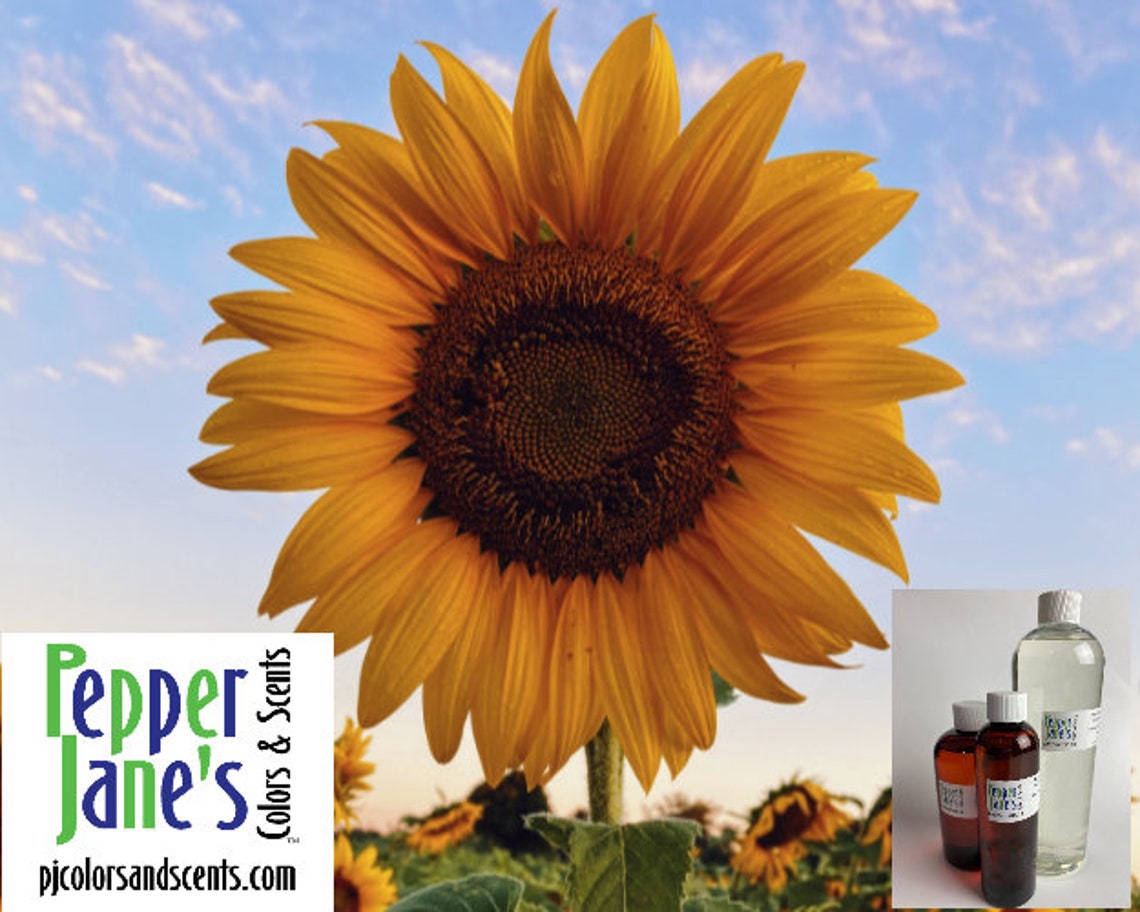 Sunflower Fragrance Oil for Candles Soap Incense Lotion Etsy