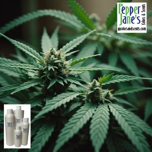 Marijuana Fragrance Oil for Candles, Soap, Incense, Lotion, Diffusers, Slime, Scrubs, Perfumes, Body Butters, more