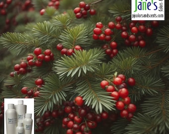 Balsam & Berry Fragrance Oil, Festive Home Scent