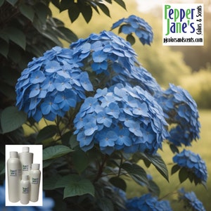 May include: A vibrant image of a hydrangea bush with large clusters of blue flowers. The flowers are in full bloom, showcasing their delicate petals. The image also includes several white bottles with the text "Pepper Jane's Colors & Scents".