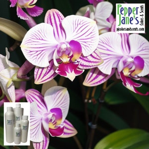 Exotic Orchid Fragrance Oil for Candles, Soap, Incense, Lotion, Diffusers, Slime, Scrubs, Perfumes, Body Butters, more