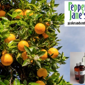 Florida Orange Fragrance Oil for Candles, Soap, Incense, Lotion, Diffusers, Slime, Scrubs, Perfumes, Body Butters, and more