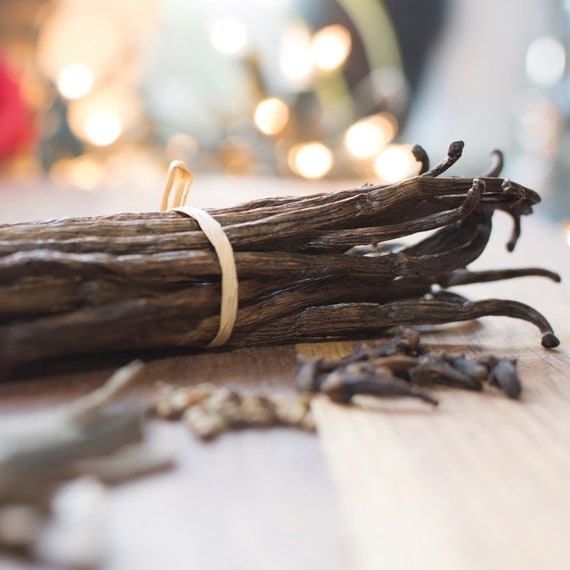 Vanilla Bean Fragrance Oil Candle/Soap Making Supplies Etsy